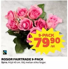 fairtrade - ROSOR FAIRTRADE 9-PACK