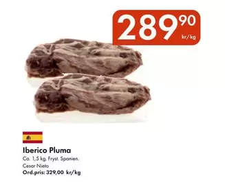 Iberico Pluma