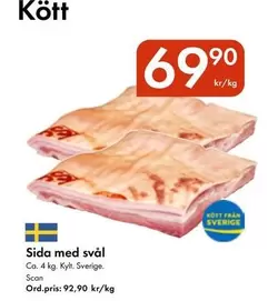 Scan - Sida med svål