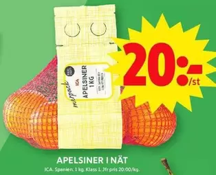APELSINER I NÄT
