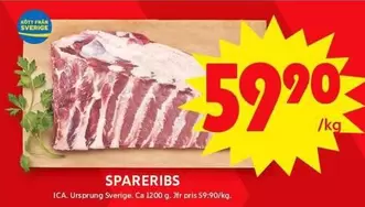 SPARERIBS
