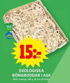 EKO - BONGRODDAR I ASK