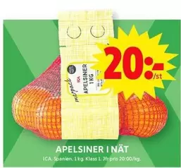 APELSINER I NÄT