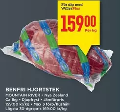 BENFRI HJORTSTEK