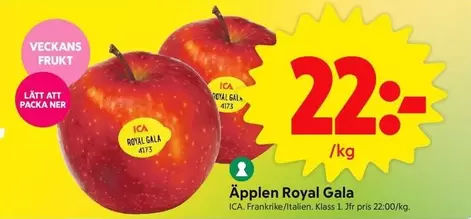 Äpplen Royal Gala