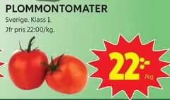PLOMMONTOMATER