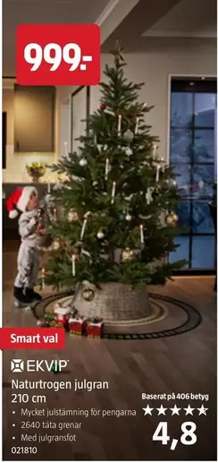 Smart - Naturtrogen julgran