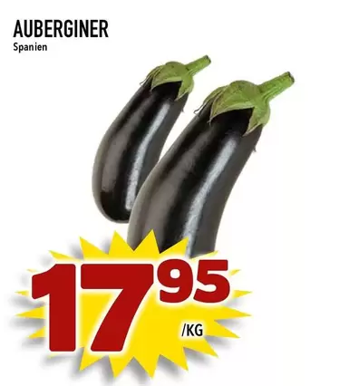 AUBERGINER