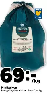 Ingelsta kalkon - Minikalkon