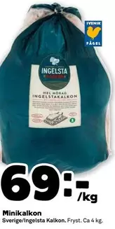 Ingelsta kalkon - Minikalkon