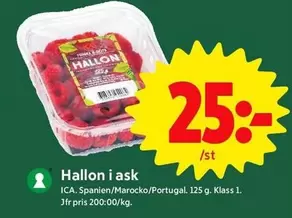 Hallon i ask