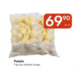 Potatis