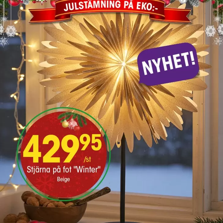 EKO - Stjärna på fot "Winter"