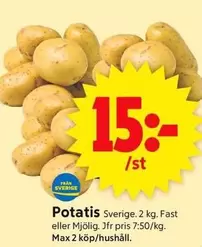 Potatis
