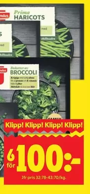 Prima - HARICOTS or BROCCOLI