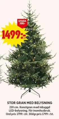 STOR GRAN MED BELYSNING