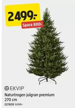 Naturtrogen julgran premium