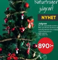 Julgran