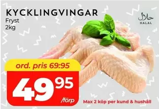 KYCKLINGVINGAR