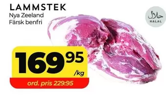 LAMMSTEK