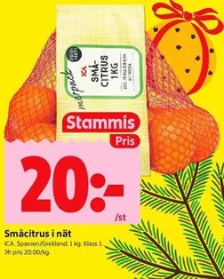 Småcitrus i nät