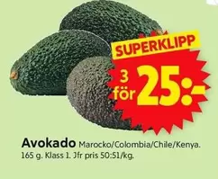Avokado