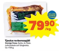 Tjocka revbensspjäll