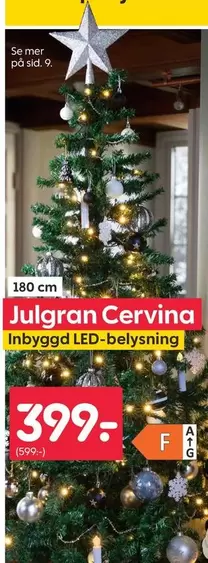 Mer - Julgran Cervina