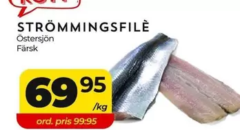 STRÖMMINGSFILÈ