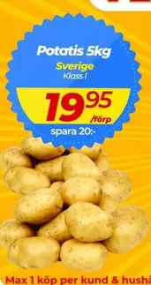Potatis