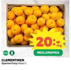 Coop - CLEMENTINER