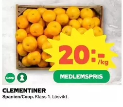 Coop - CLEMENTINER