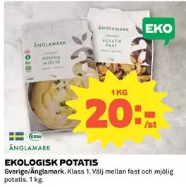 EKO - LOGISK POTATIS