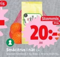 Småcitrus i nät