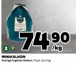 Ingelsta kalkon - MINIKALKON