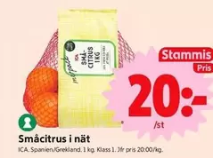 Småcitrus i nät