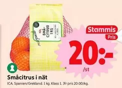 Småcitrus i nät