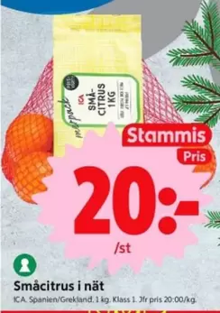 Småcitrus i nät