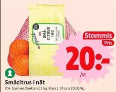 Småcitrus i nät
