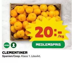 Coop - CLEMENTINER