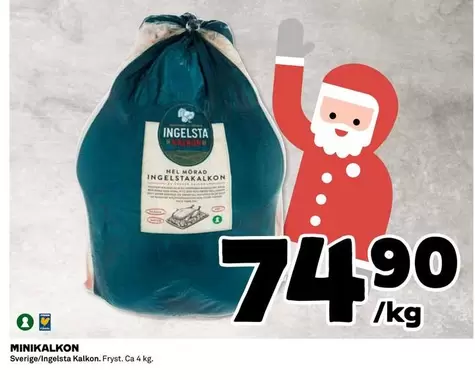 Ingelsta kalkon - MINIKALKON