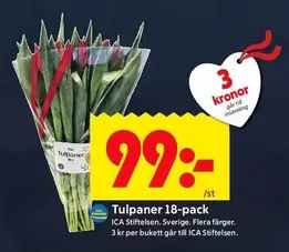 Tulpaner 18-pack