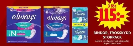 Always - BINDOR, TROSSKYDD