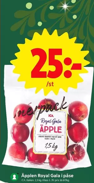 Royal Gala APPLE