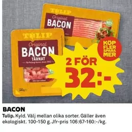 tulip - BACON