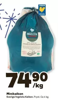 Ingelsta kalkon - Minikalkon