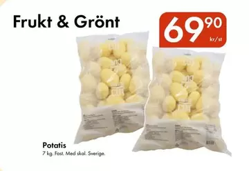 Potatis
