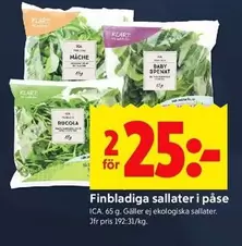 Finbladiga sallater i påse