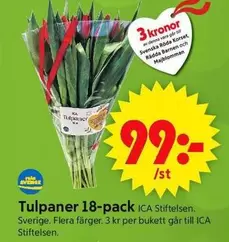 Tulpaner 18-pack