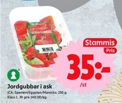 Jordgubbar i ask